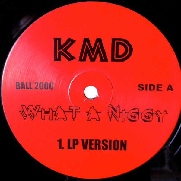 Del The Funky Homosapien* / KMD – Wrong Place / What A Niggy ...